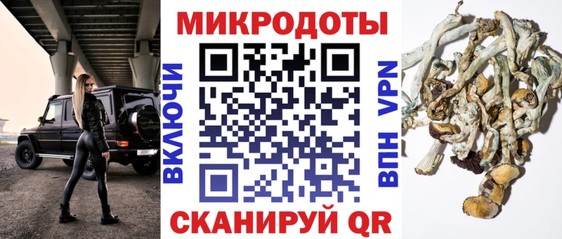 Галлюциногенные грибы Magic Shrooms  Дубовка 